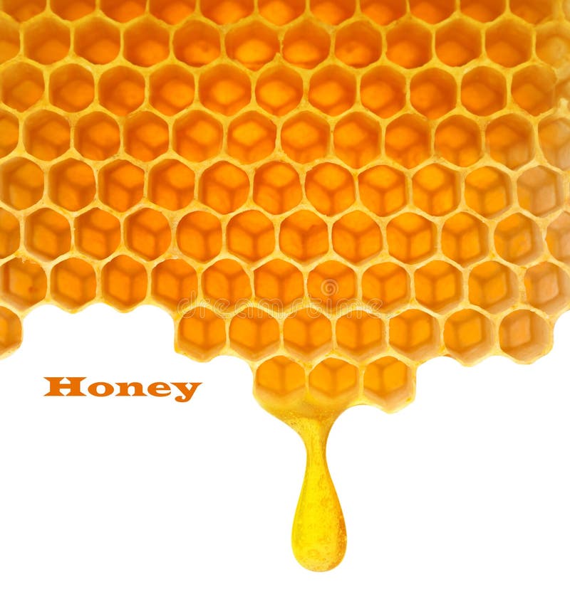 Honey macro in comb texture pattern background. Honey macro in comb texture pattern background.