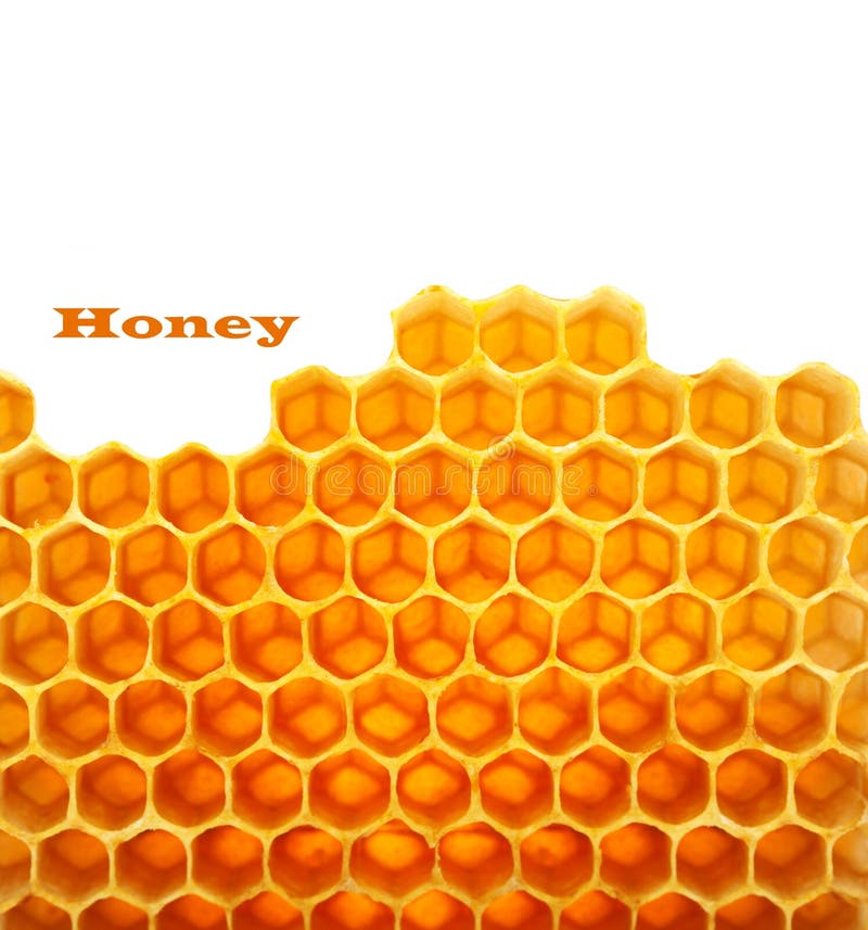 Honey macro in comb texture pattern background. Honey macro in comb texture pattern background.