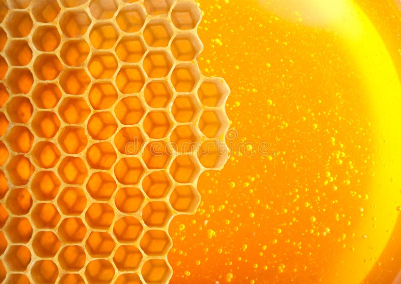 Honey macro in comb texture pattern background. Honey macro in comb texture pattern background.