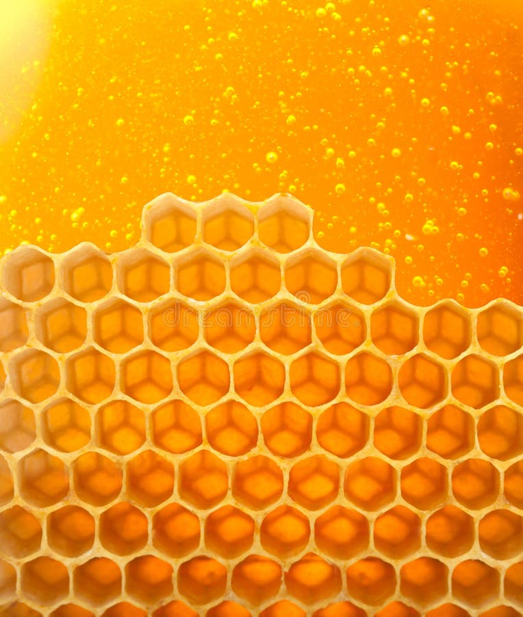 Honey macro in comb texture pattern background. Honey macro in comb texture pattern background.