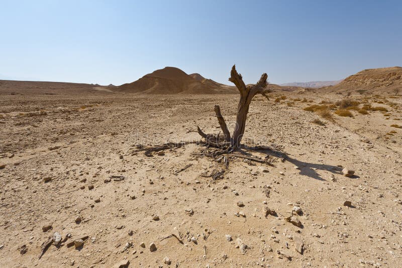Melancholie en leegte van de woestijn in Israël royalty-vrije stock fotografie Melancholie en leegte van de woestijn in Israël royalty-vrije stock fotografie