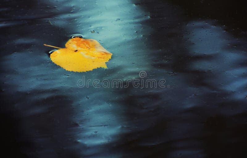 Melancholy stock photo. Image of nature, floating, melancholy 53493720