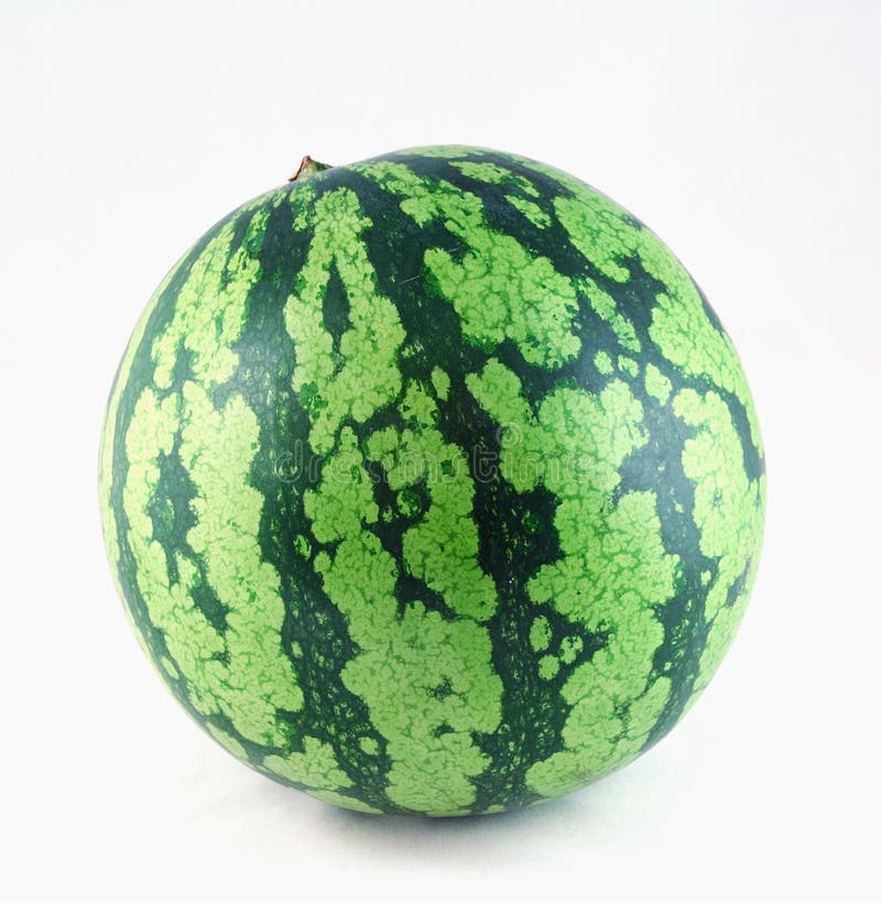 Big watermelon with white background. Big watermelon with white background.