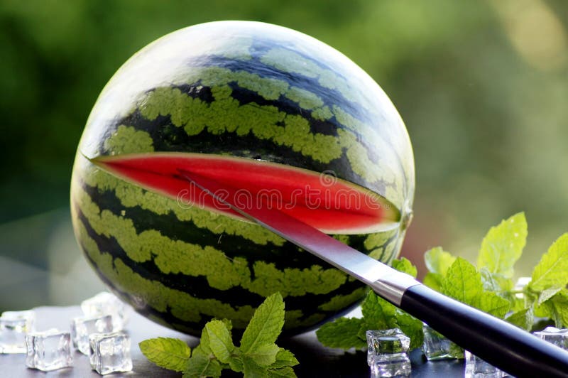 Melancia com cubos de gelo e a hortel? fresca imagens de stock royalty free