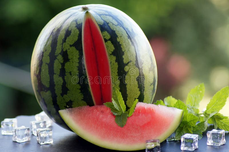 Melancia com cubos de gelo e a hortel? fresca fotografia de stock royalty free