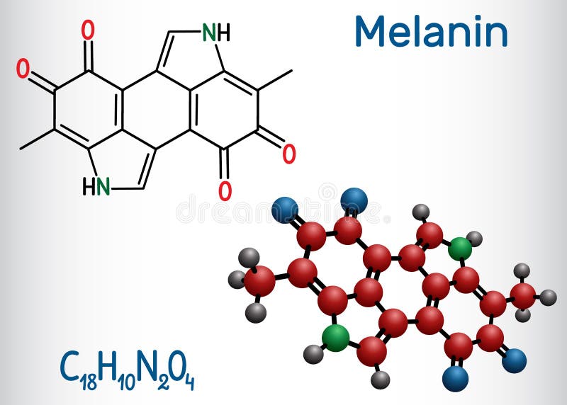 Melanin Molecule with Chemical Formula Stock Illustration