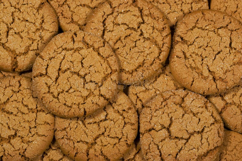 Melassen-Plätzchen stockbild Melassen-Plätzchen stockbild