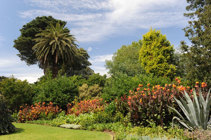 Melbourne Botanical Garden stock image. Image of australia 19260301