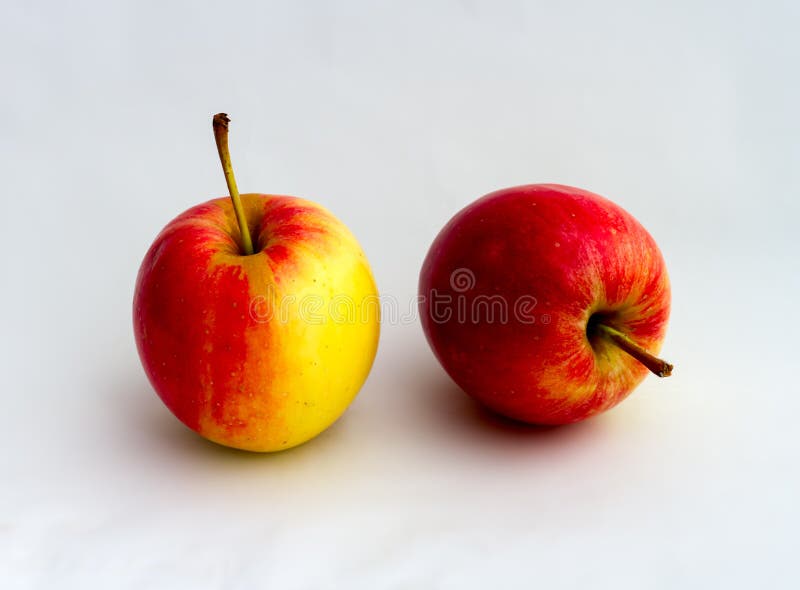 2 mele fresche su terra bianca immagini stock 2 mele fresche su terra bianca immagini stock