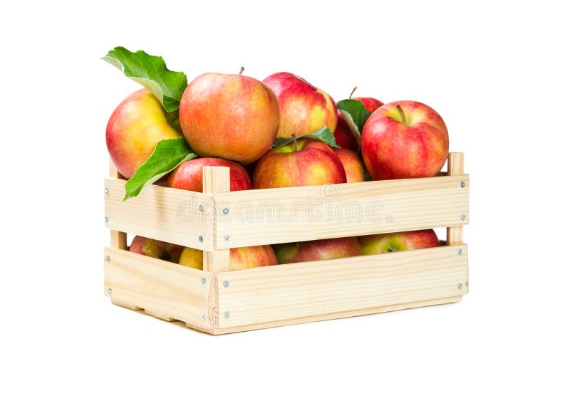 Scatola Portaoggetti 17 X 13 X 7, Rosa Nordico | Leroy Merlin