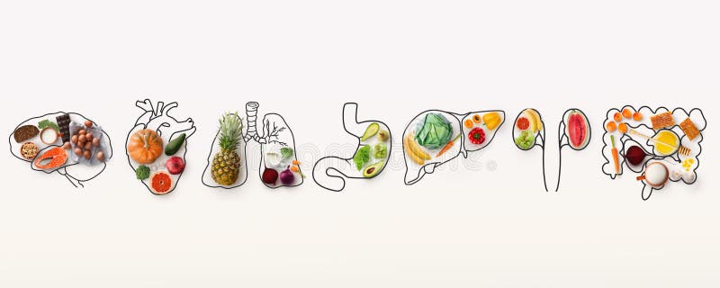 Best menu for healthy body. Collage with outlines of human internal organs and wholesome foods on white background, panorama. Best menu for healthy body. Collage with outlines of human internal organs and wholesome foods on white background, panorama