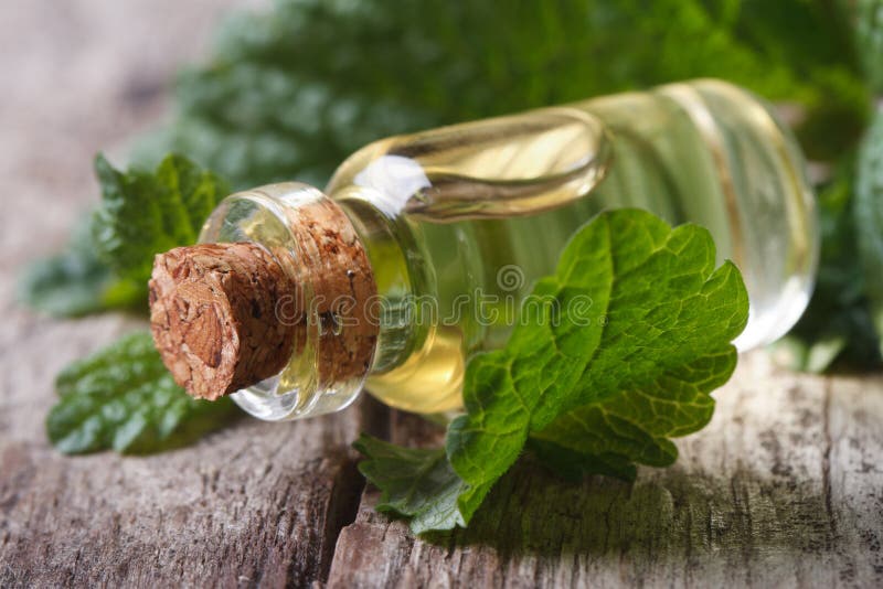 Melissa aromatica degli oli in una bottiglia di vetro sulla vecchia tavola immagini stock Melissa aromatica degli oli in una bottiglia di vetro sulla vecchia tavola immagini stock