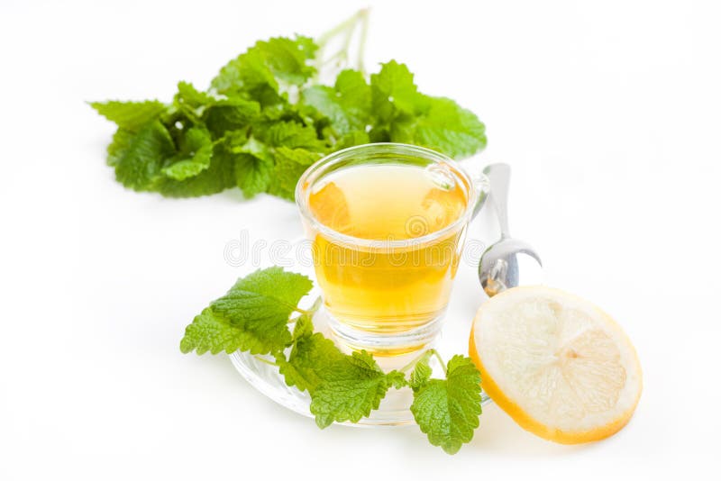 Melissa herbal tea with fresh leaf on white background royalty free stock photos Melissa herbal tea with fresh leaf on white background royalty free stock photos