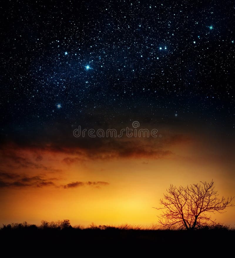 Milky way and stars over night forest. Silhouettes of trees. Elements of this image furnished by NASA. Milky way and stars over night forest. Silhouettes of trees. Elements of this image furnished by NASA.