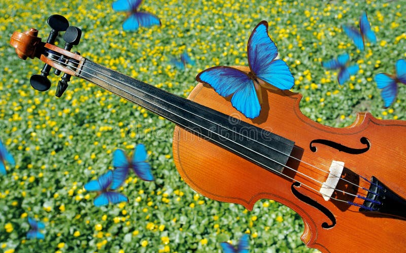 Violin and Spring Background Stock Photo - Image of april, musician: 117924520 Violin and Spring Background Stock Photo - Image of april, musician: 117924520