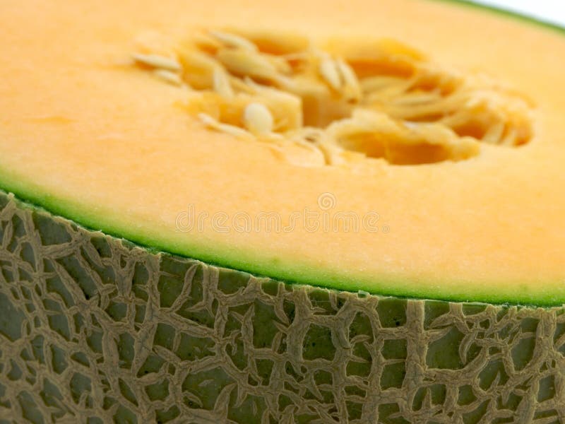 Rock Melon stock image. Image of isolated, melo, fruit 11281871