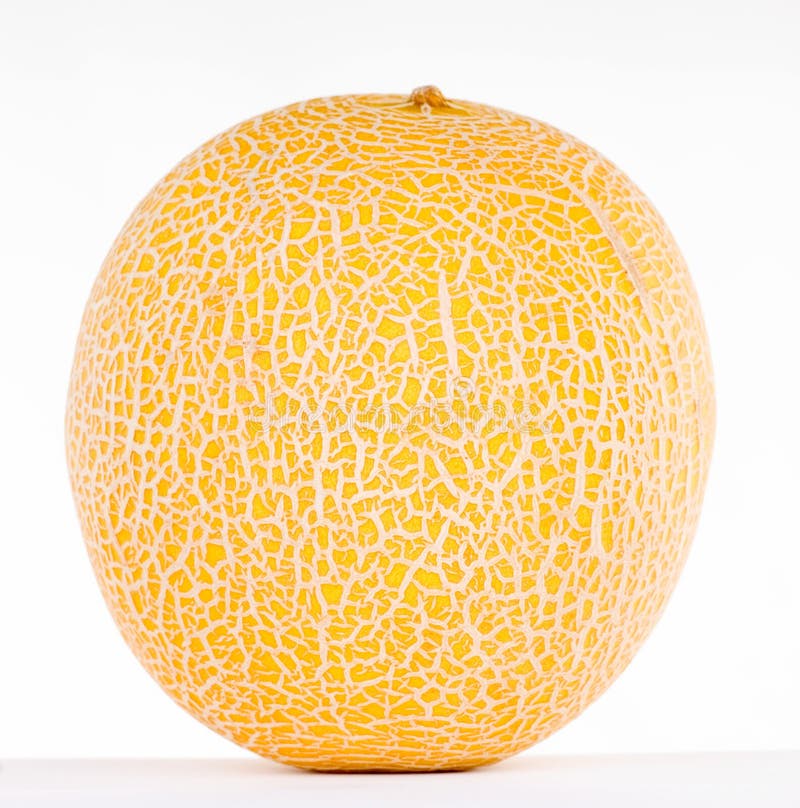 Melon images stock