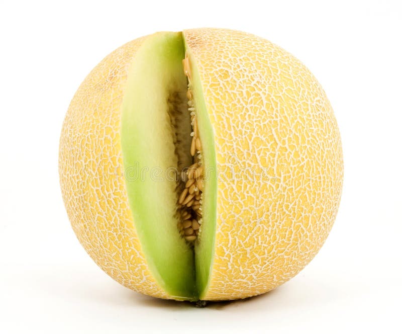 Melon stock photo. Image of fruit, healthy, seed, water 10281186