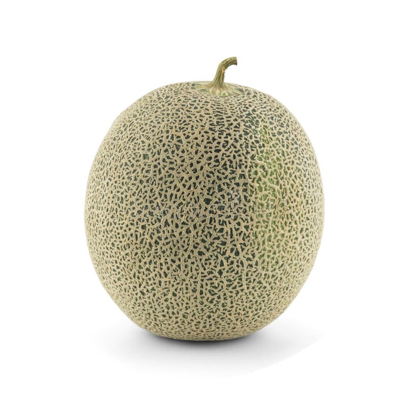 melon