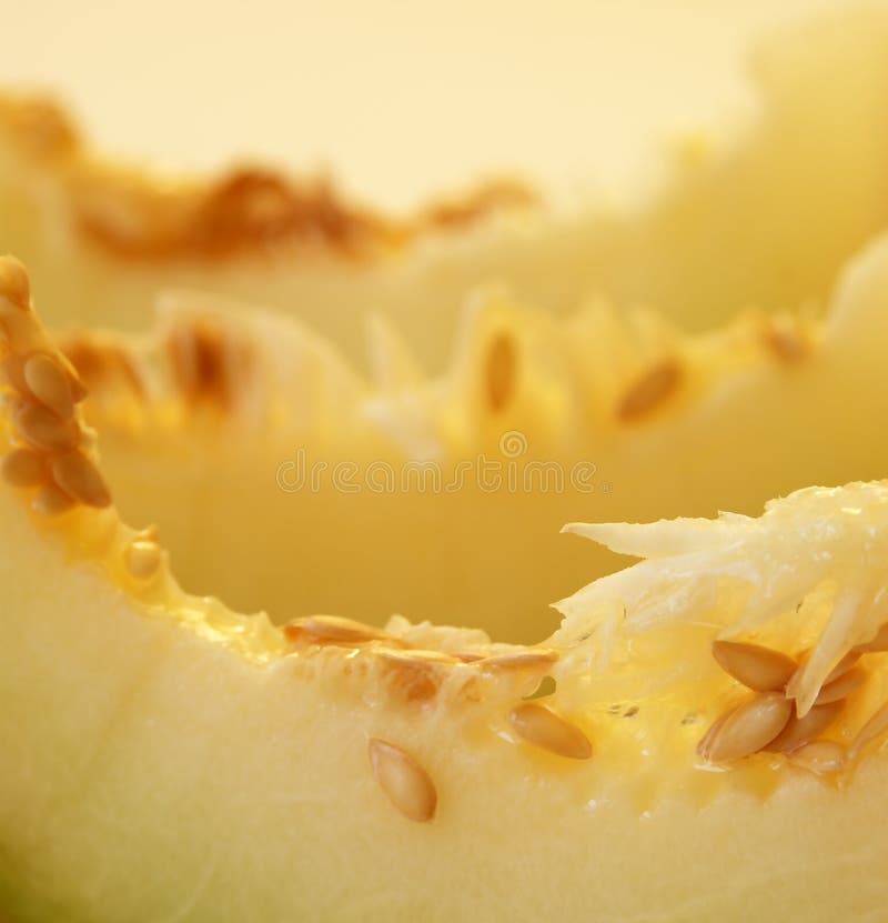 Melon closeup stock image. Image of mediterranean, diet 4726795