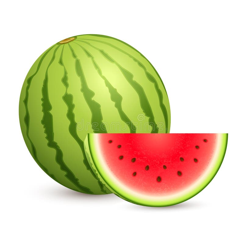 Melon d'eau illustration de vecteur. Illustration du nutrition 26579077