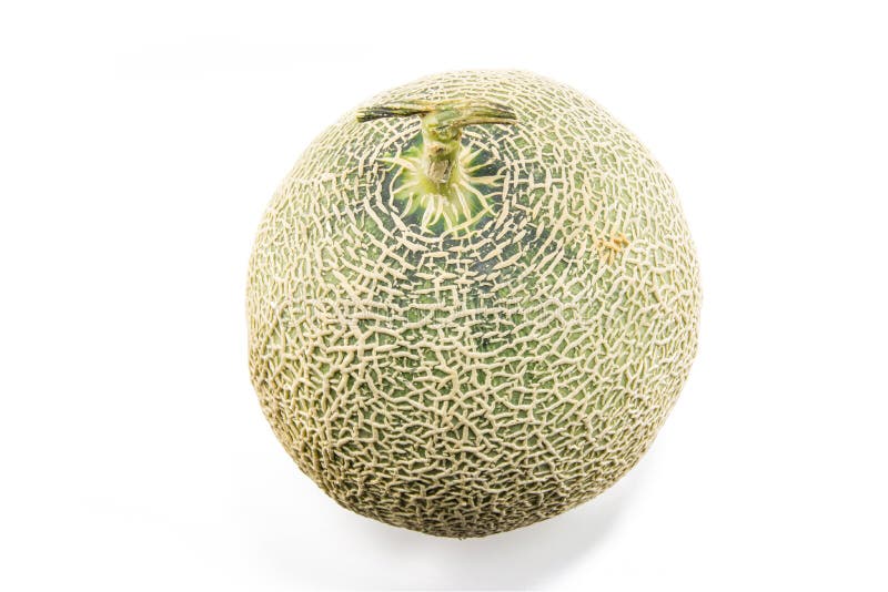 Melon de cantaloup image libre de droits Melon de cantaloup image libre de droits
