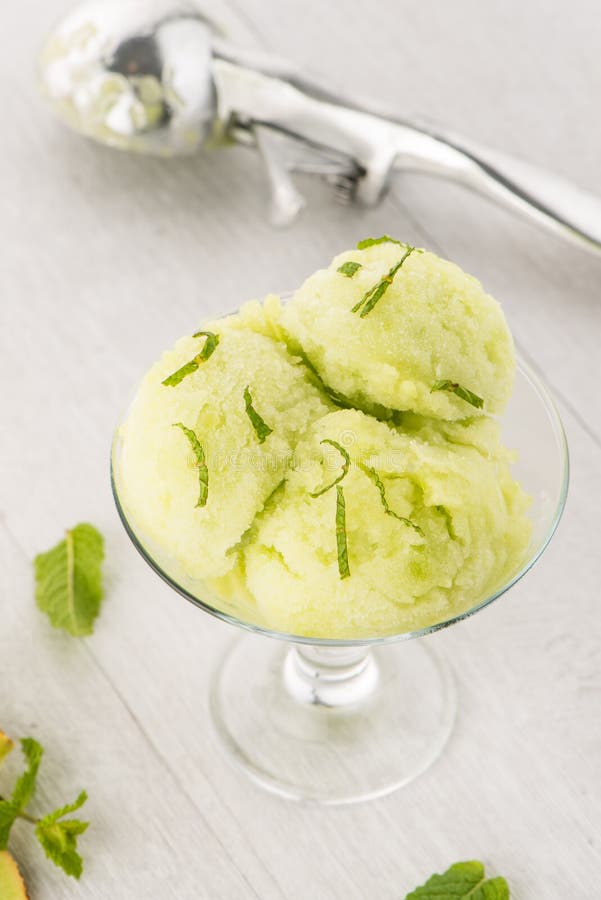 Melon flavored icecream stock photo. Image of milk, delicious 98899860