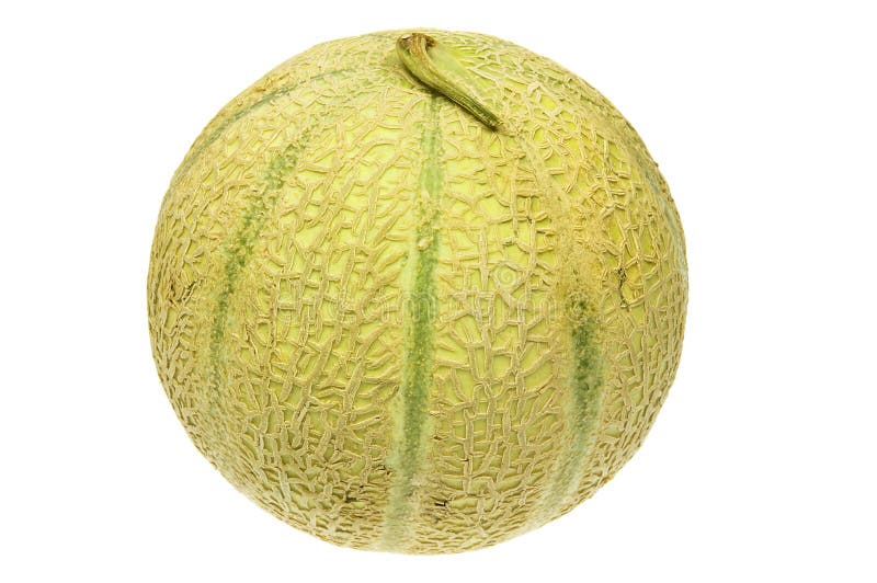 Melon - fruit