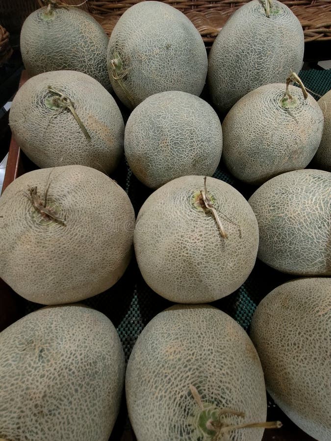 Melon Fruit. the Benefits of Melon Fruit Come from the Nutritional