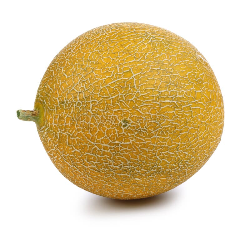 Melon Fruit Isolated on White Stock Photo Image of diet, orange