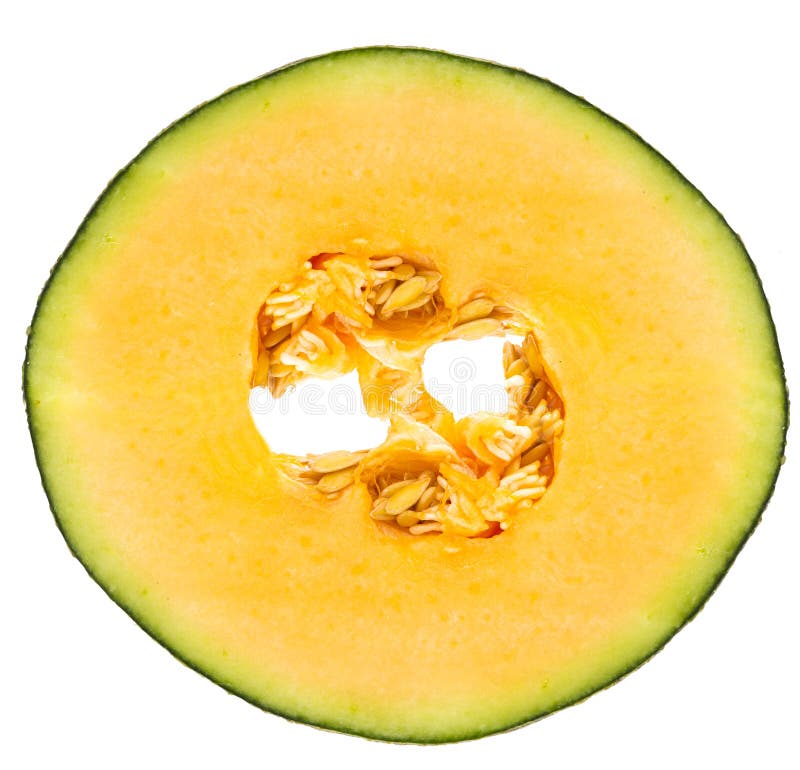 Melon fruit slice stock image. Image of green, drink 42069669