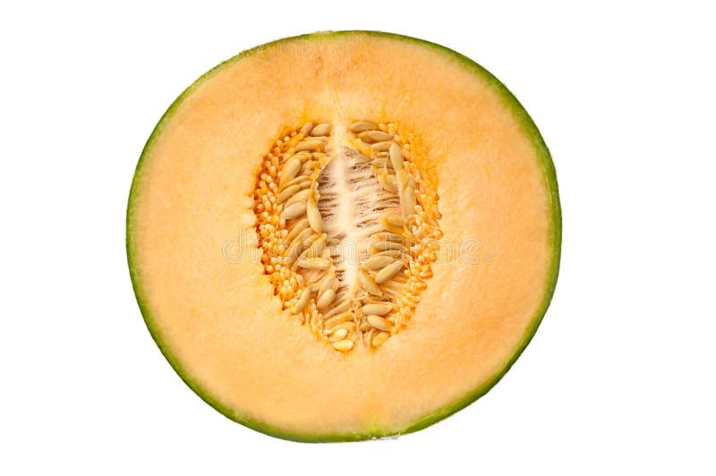 Melon Half.