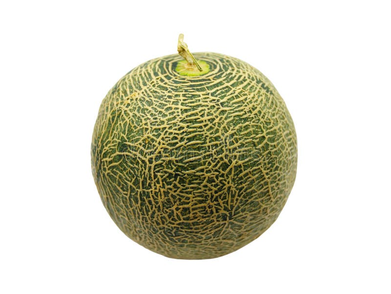 Melon from Japan Isolated on White Stock Photo Image of organic