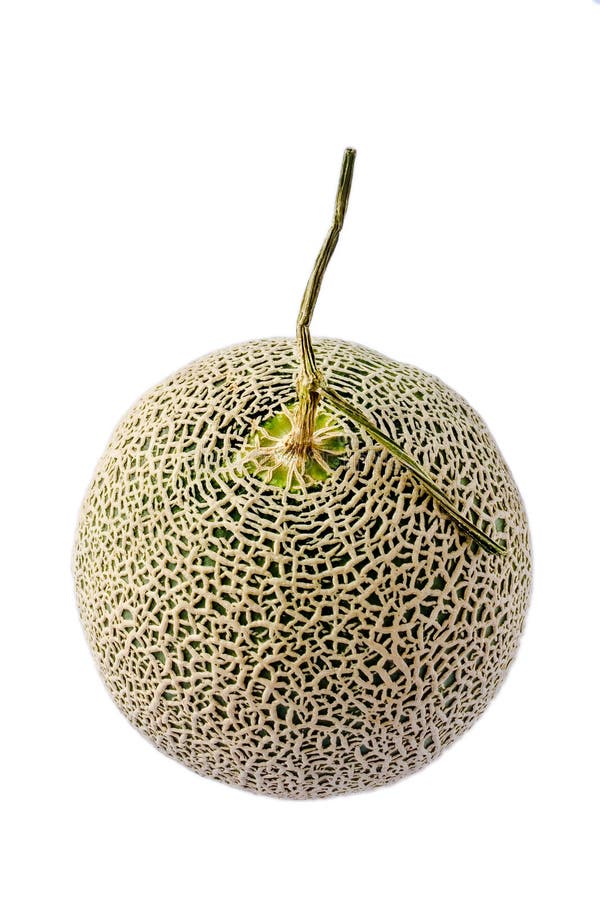 Melon From Japan In Isolation Stock Photo Image of seeds, dessert