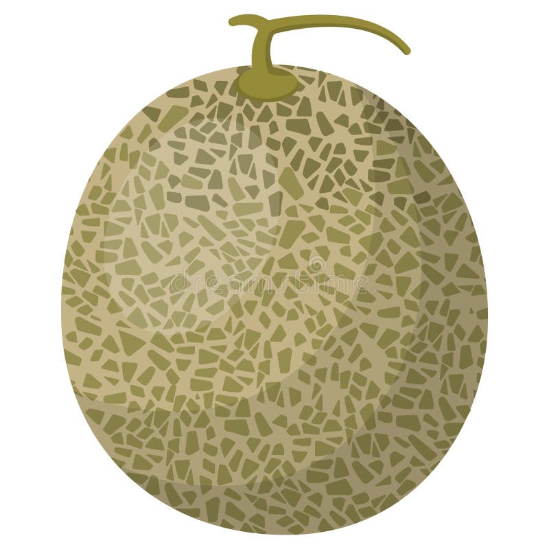 Melon no estilo cartoon ilustração stock Melon no estilo cartoon ilustração stock