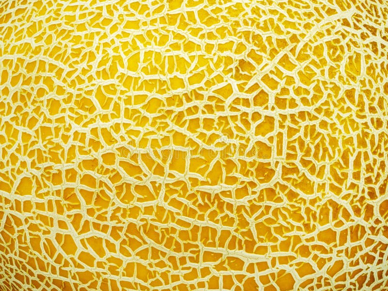 Closeup of Yellow Melon Texture Stock Photo Image of horizontal