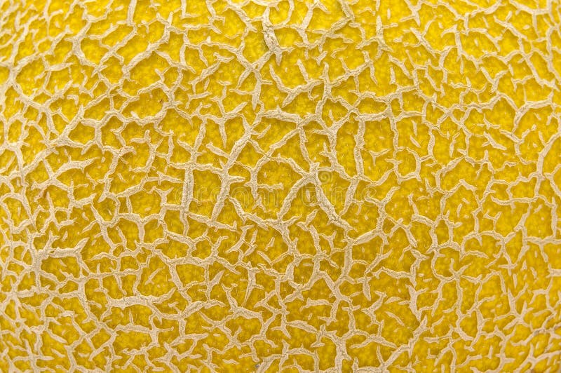 Melon texture