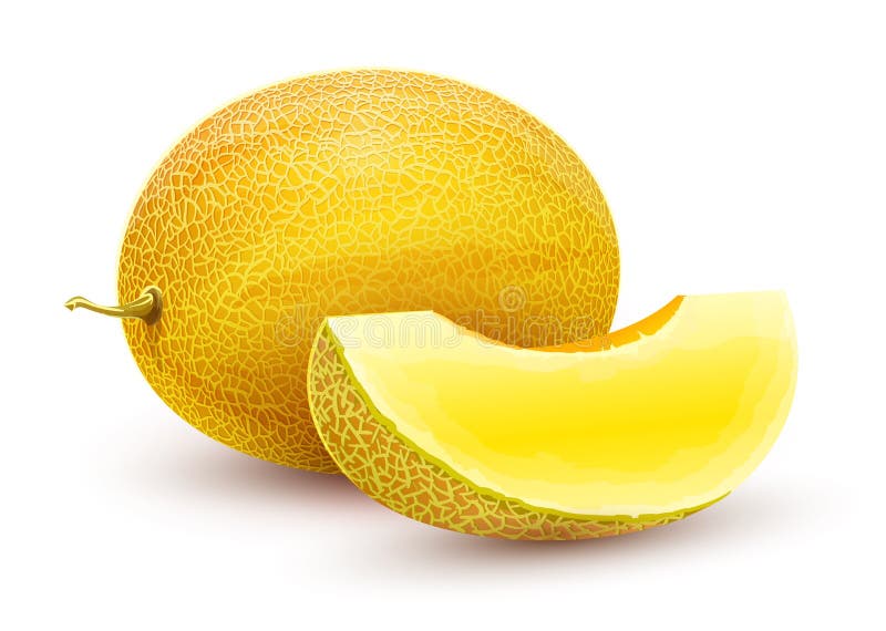 Melone di melata Intera frutta dolce matura fresca royalty illustrazione gratis