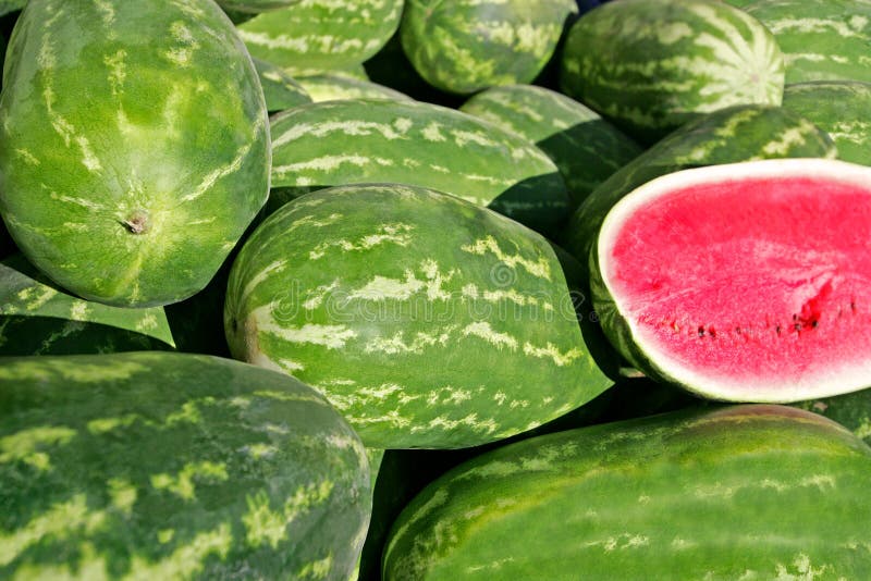 Melones imágenes de archivo libres de regalías Melones imágenes de archivo libres de regalías