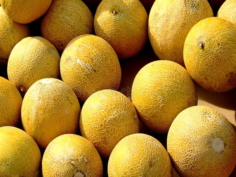 Melons
