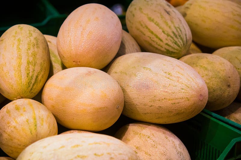 Melons are Lying in a Pile for Sale Stock Image Image of organic