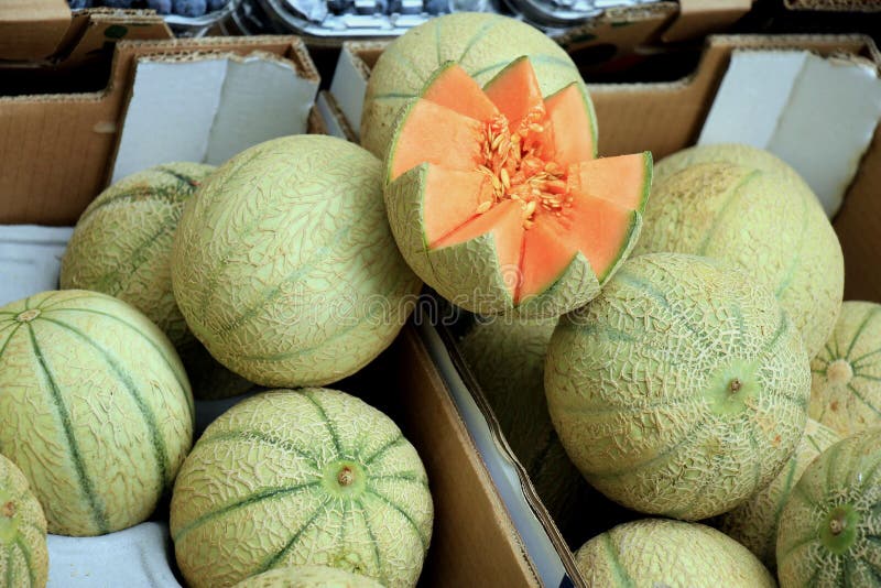 Melons at a market stock photo. Image of produce, group 128131448