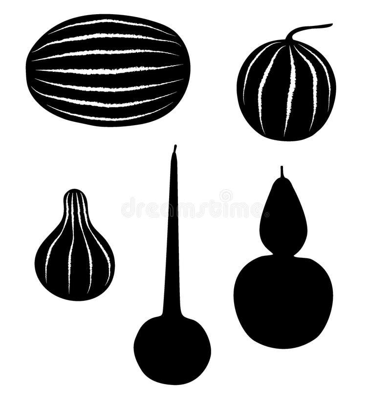 Melons and squashes stock vector. Illustration of autumn 37998108