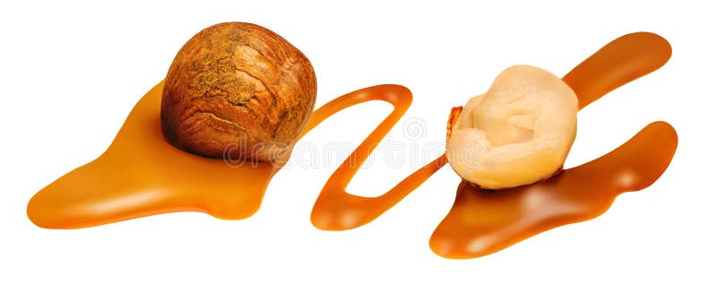 Melting caramel sauce and Hazelnuts isolated. Flowing liquid caramel with nuts on white background stock photo