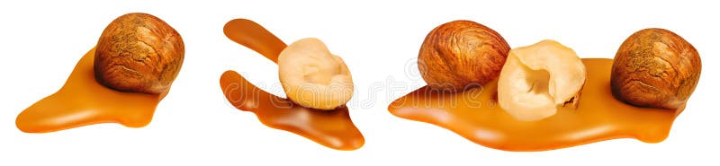 Melting caramel sauce and Hazelnuts isolated. Flowing liquid caramel with nuts on white background stock photos