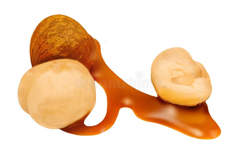 Melting caramel sauce and Hazelnuts isolated. Flowing liquid caramel with nuts on white background royalty free stock photos