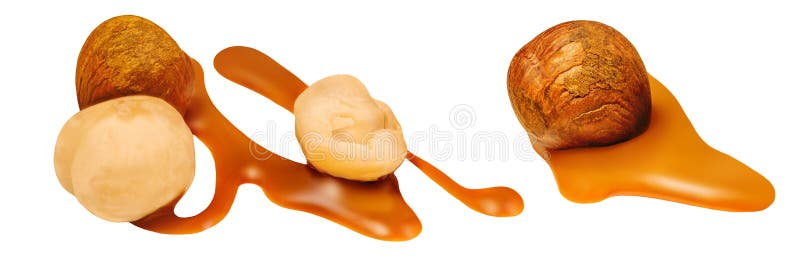 Melting caramel sauce and Hazelnuts isolated. Flowing liquid caramel with nuts on white background stock image