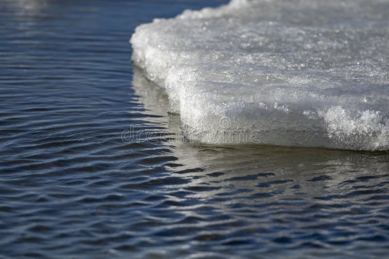 Melting ice in the water stock photo. Image of nature 213313190