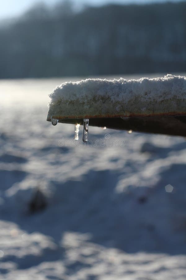 Melting snow stock image. Image of wintry, drip, frozen 1159545