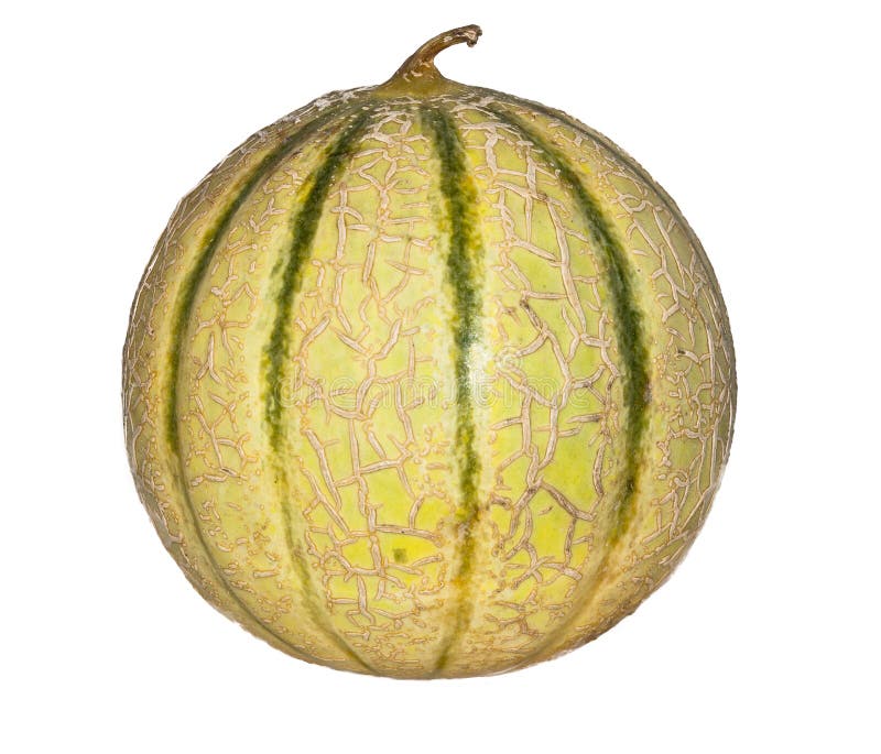 Melón aislado en un fondo blanco imagen de archivo Melón aislado en un fondo blanco imagen de archivo